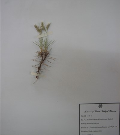 Kolah-e mirhasan bekraei